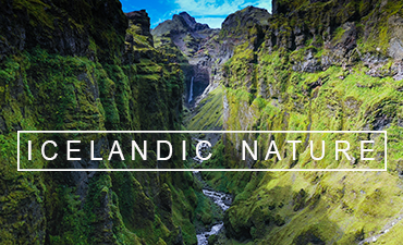 VIDEO:  Icelandic Nature 4K